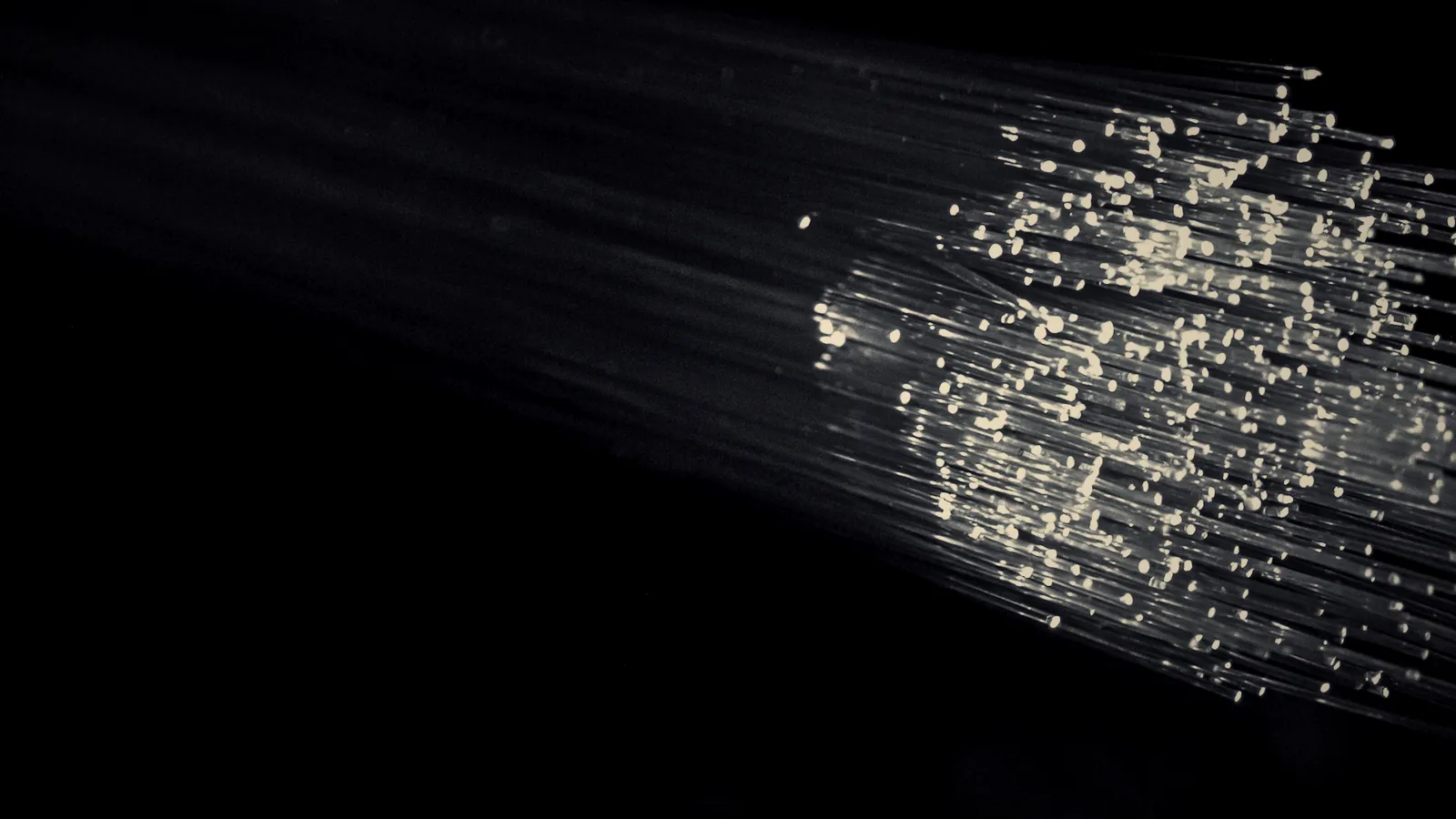 A bundle of glowing optical fibres