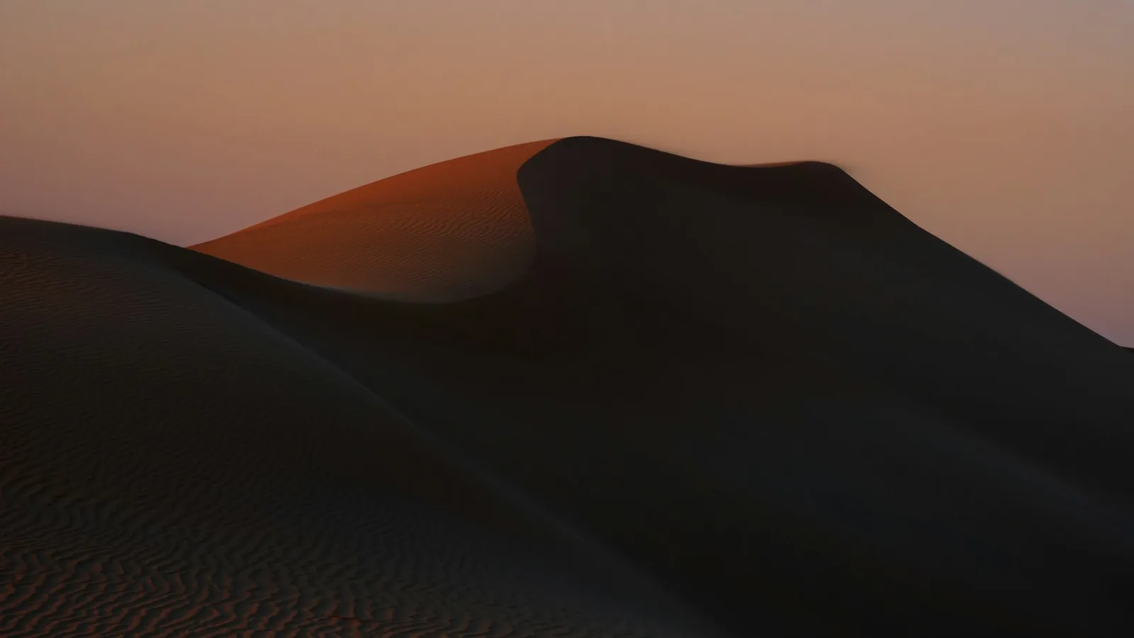 A sand dune in the Abu Dhabi desert at sunset, its crest lit amber